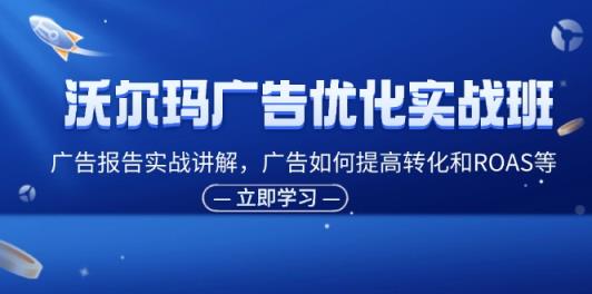 沃尔玛广告优化实战班，广告报告实战讲解，广告如何提高转化和ROAS等-天天有课网