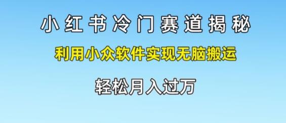 小红书的小众跑道揭密，运用小众软件完成没脑子运送，轻轻松松月入了万-天天有课网