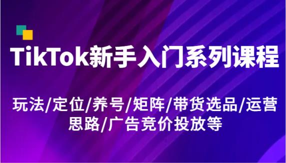 TikTok新手入门系列课程，玩法/定位/养号/矩阵/带货选品/运营思路/广告竞价投放等-天天有课网