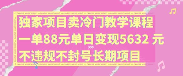 独家代理新项目卖小众教学内容一单88元单日转现5632元违反规定防封号长期项目【揭密】-天天有课网