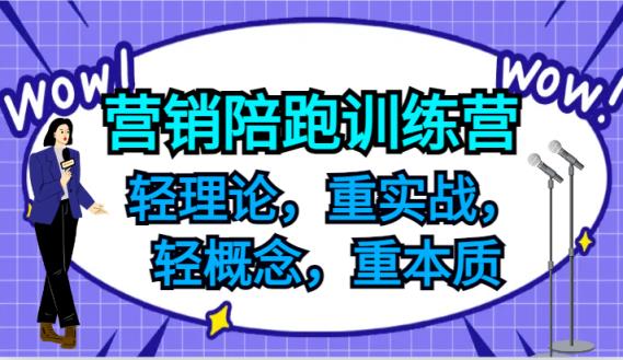 营销推广陪跑夏令营，轻基础理论，重实战演练，轻定义，重实质，适宜中小企业和初创企业的老总-天天有课网