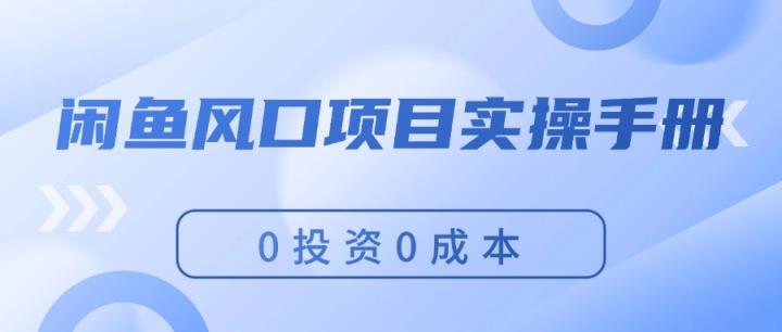 闲鱼平台蓝海项目实际操作指南，0投入0成本费，使你保证，月入了万，初学者能做-天天有课网