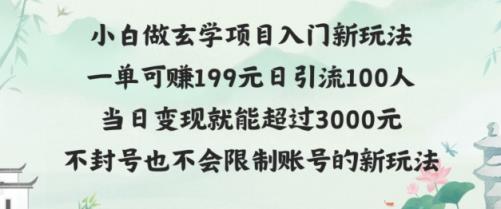 玄学项目入小白入门新玩法一单可赚199元日变现200+不封号不违规-天天有课网