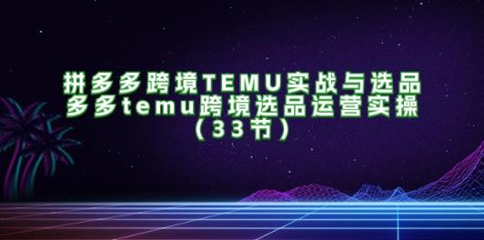 拼多多平台跨境电商TEMU实战演练与选款，多多的temu跨境电商选款经营实际操作-天天有课网