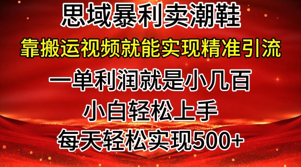 公域卖潮牌鞋子爆利游戏玩法，新手快速上手，日赚多张，轻松，只靠搬运视频就可精准引流方法-天天有课网