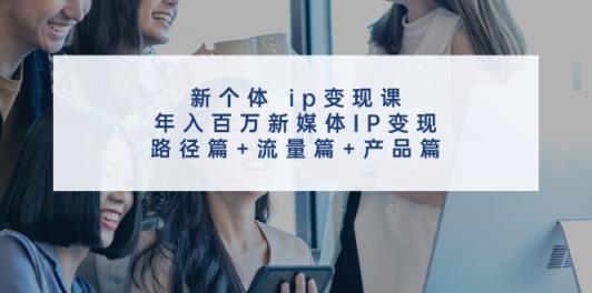 新个体 ip变现课，年入百万新媒体IP变现，路径篇+流量篇+产品篇-天天有课网