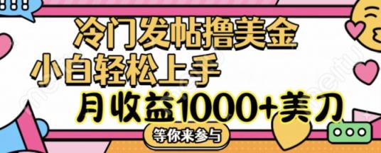 小众发帖子撸美元新项目，月盈利1000 美元，简易没脑子，干就完了【揭密】-天天有课网