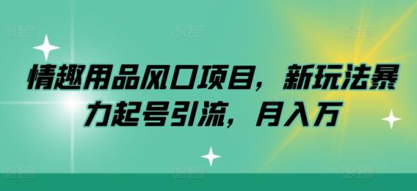 情趣用具蓝海项目，新模式暴力行为养号引流方法，月入万-天天有课网