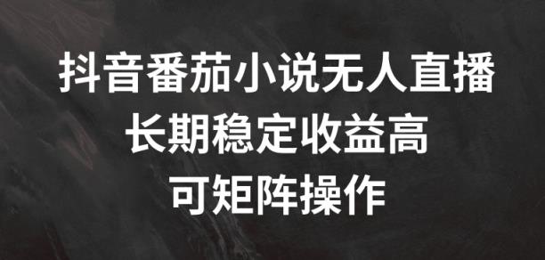 抖音视频番茄小说无人直播，长期性稳定盈利高，可引流矩阵实际操作【揭密】-天天有课网