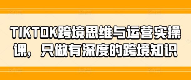 TIKTOK跨境电商逻辑思维和运营实操课，就做有内涵的跨境电商专业知识-天天有课网