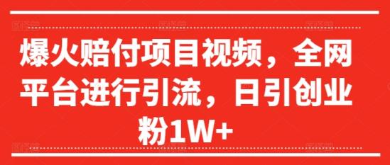 爆红赔偿新项目短视频，全网平台进行引流，日引自主创业粉1W 【揭密】-天天有课网