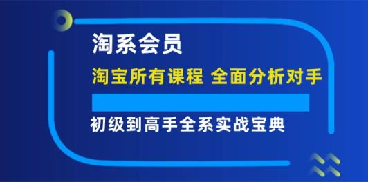 淘系会员初级到高手全系实战宝典【淘宝所有课程，全面分析对手】-天天有课网