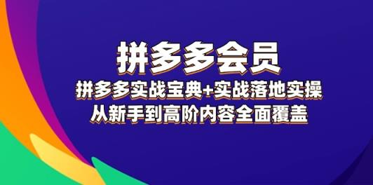 拼多多会员实战宝典+实战落地实操，从新手到高阶内容全面覆盖-天天有课网