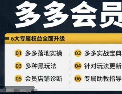 拼多多会员，拼多多平台实战演练秘笈 实战演练落地式实际操作，从初学者到高级具体内容全覆盖-天天有课网