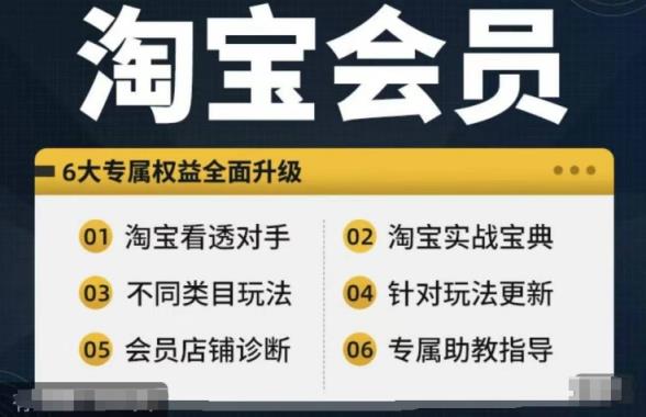 淘宝会员【淘宝网全部课程，深入分析敌人】，初中级到大神全系列实战演练秘笈-天天有课网