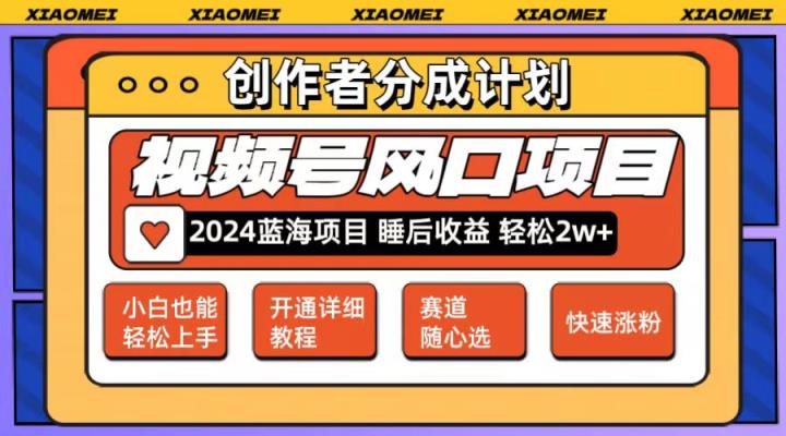 微信视频号大风口项目 轻松月入2w+ 多赛道选择，可矩阵，玩法简单轻松上手-天天有课网