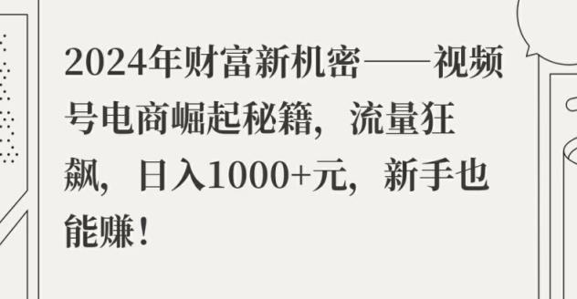 2024年财富新机密——视频号电商崛起秘籍，流量狂飙，日入1k元，新手也能赚-天天有课网