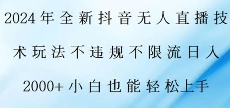 2024年全新抖音无人直播技术玩法，日入2k，小白也能轻松上手-天天有课网