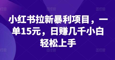 小红书的引流赚钱项目，一单15元，日赚好几千新手快速上手【揭密】-天天有课网