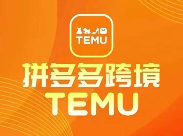 全新TEMU拼多多平台跨境电商实例教程，开实体店、经营、选款-天天有课网