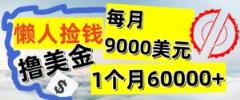 懒人捡钱撸美金项目，月收益9000+美金，简单无脑，干就完了【揭秘】-天天有课网