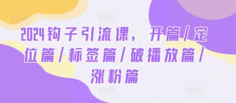 2024勾子引流课，开场/精准定位篇/标识篇/破播放视频篇/增粉篇-天天有课网