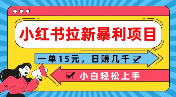 小红书的引流赚钱项目，一单15元，日赚好几千新手快速上手-天天有课网