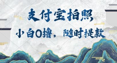 新手0撸新项目，支付宝钱包照相接任务，随时可提现-天天有课网