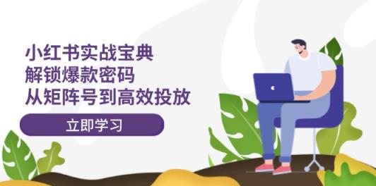 小红书实战宝典：解锁爆款密码，从矩阵号到高效投放-天天有课网