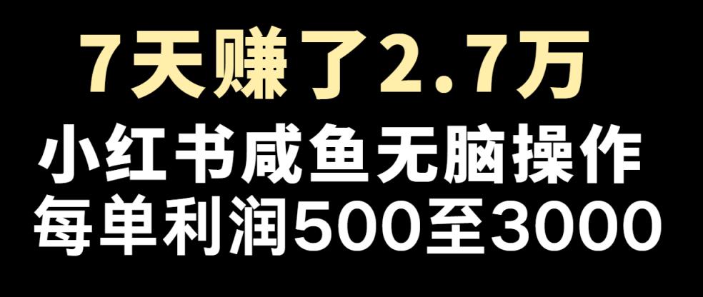 七天挣了2.7万！每单利润至少500 ，轻轻松松月入5万 新手有手就行-天天有课网