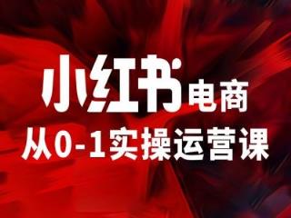 小红书电商从0-1实际操作运营课，使你从小白到精锐-天天有课网