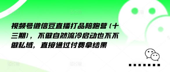 微信视频号微信豆直播打品陪跑营(十三期)，不去做自动流出然冷动启都不不去做公域，接直达付完费拿结果-天天有课网