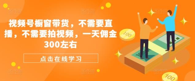 微信视频号橱窗展示卖货，不用直播间，不用拍摄视频，一天提成300上下-天天有课网