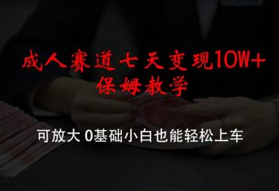成年人跑道七天转现10W 家庭保姆课堂教学，可变大，0基本新手都可以轻松进入车内【揭密】-天天有课网