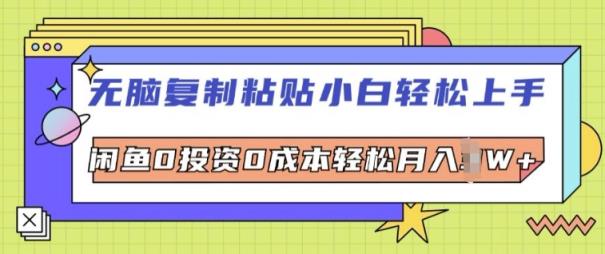 没脑子拷贝新手快速上手，闲鱼0投入0成本费轻轻松松月入W-天天有课网