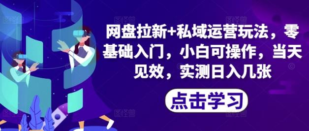 百度云盘引流 私域流量运营游戏玩法，零基础入门，小白可实际操作，当日奏效-天天有课网