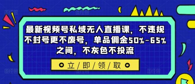 新视频号公域无人直播课，不违规防封号更加不废号，品类提成50%-65%中间，不深灰色不投流-天天有课网