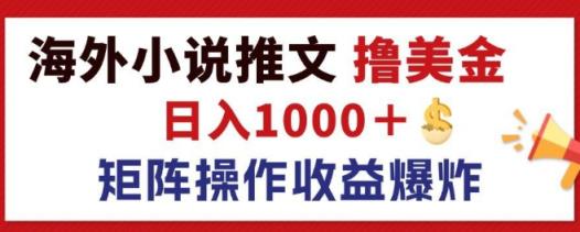 全新国外小说推文撸美元，日入1k  朝阳行业，引流矩阵变大盈利发生爆炸-天天有课网
