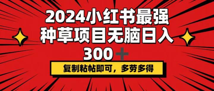 2024小红书最强种草项目，无脑日入300+，复制粘帖即可，多劳多得-天天有课网