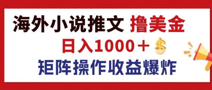 最新海外小说推文撸美金，日入1000＋ 蓝海市场，矩阵放大收益爆炸-天天有课网