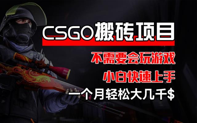 CSGO 装备搬砖项目，操作简单，不需要会玩游戏，小白也能快速上手，一…-天天有课网