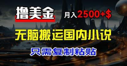 全新撸美元新项目：运送中国小说爽文，仅需拷贝，月入2k 美元-天天有课网