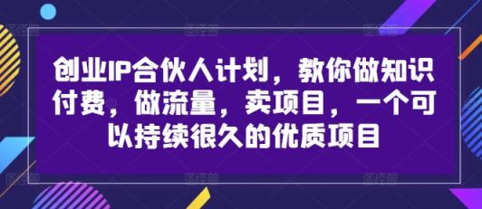 自主创业IP合伙人计划，手把手带你社交电商，做流量，卖项目，一个可以持续很久的优质企业-天天有课网