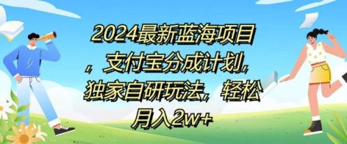 2024全新蓝海项目，支付宝钱包分为方案，独家代理自主研发游戏玩法，轻轻松松月入2w-天天有课网