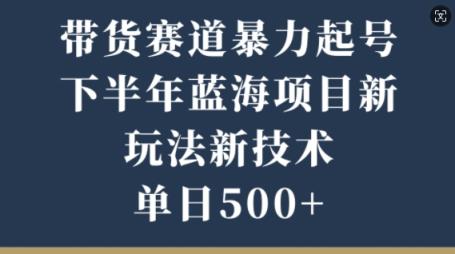 卖货跑道暴力行为养号，后半年蓝海项目，新模式新技术应用，单日500-天天有课网