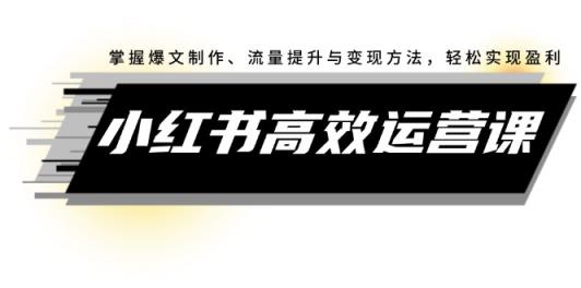 小红书高效运营课：掌握爆文制作、流量提升与变现方法，轻松实现盈利-天天有课网