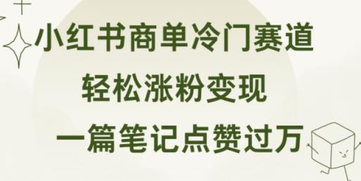 小红书的商单小众跑道 一篇手记关注点赞破万 轻轻松松增粉转现-天天有课网