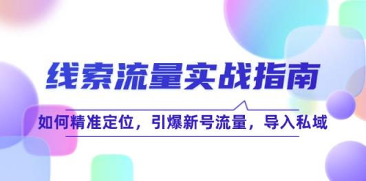 线 索 流 量-实战指南：如何精准定位，引爆新号流量，导入私域-天天有课网