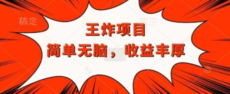 大小王褔利新项目，兼职全职都可以做，实际操作没脑子简易-天天有课网