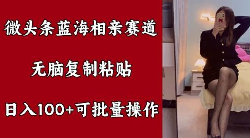 头条瀚海相亲约会跑道，没脑子拷贝，日入100 ，可批量处理-天天有课网
